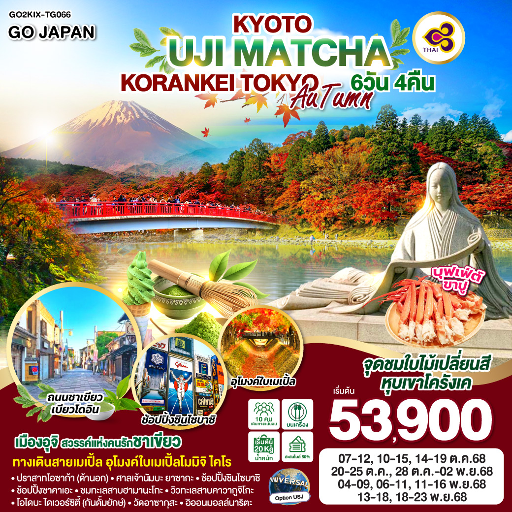ทัวร์ญี่ปุ่น KYOTO UJI MATCHA KORANKEI TOKYO AUTUMN 6วัน 4คืน (TG)